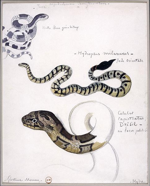 Cliquez pour fermer la fen&ecirc;tre