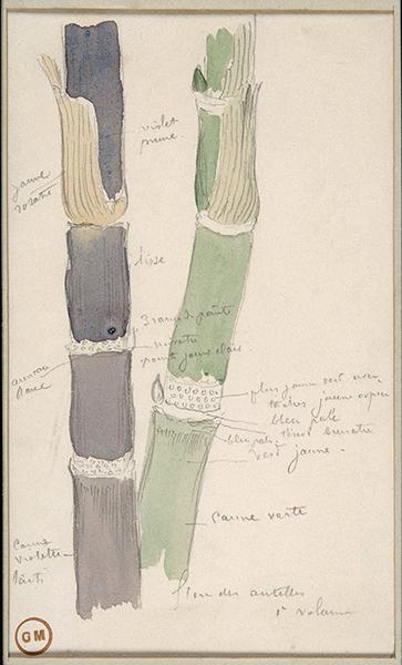 Cliquez pour fermer la fen&ecirc;tre