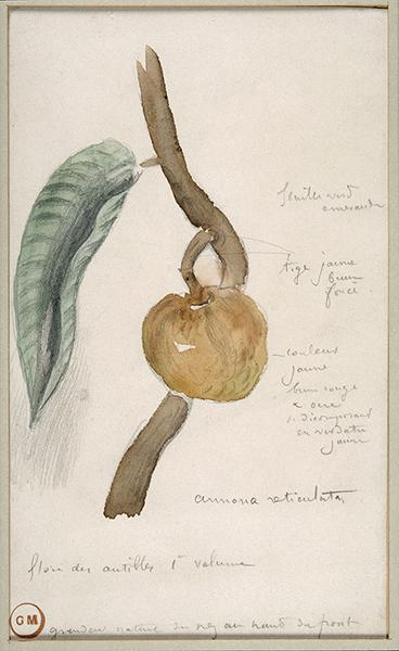 Cliquez pour fermer la fen&ecirc;tre