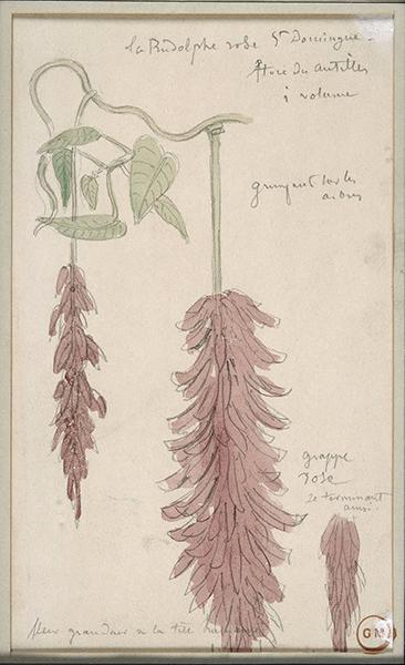 Cliquez pour fermer la fen&ecirc;tre