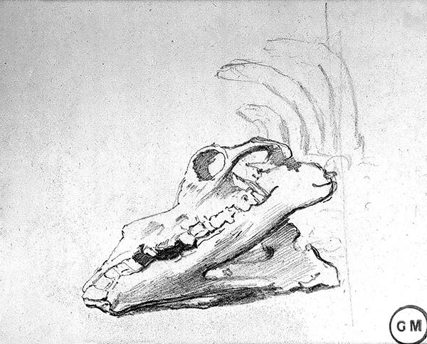 Cliquez pour fermer la fen&ecirc;tre