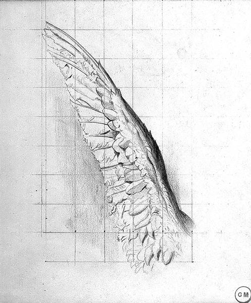 Cliquez pour fermer la fen&ecirc;tre
