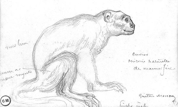 Cliquez pour fermer la fen&ecirc;tre