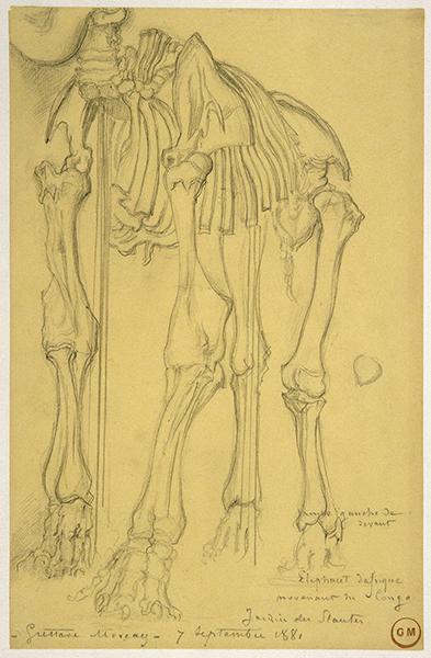 Cliquez pour fermer la fen&ecirc;tre