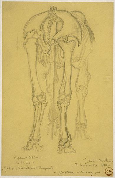 Cliquez pour fermer la fen&ecirc;tre