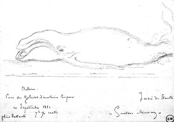 Cliquez pour fermer la fen&ecirc;tre