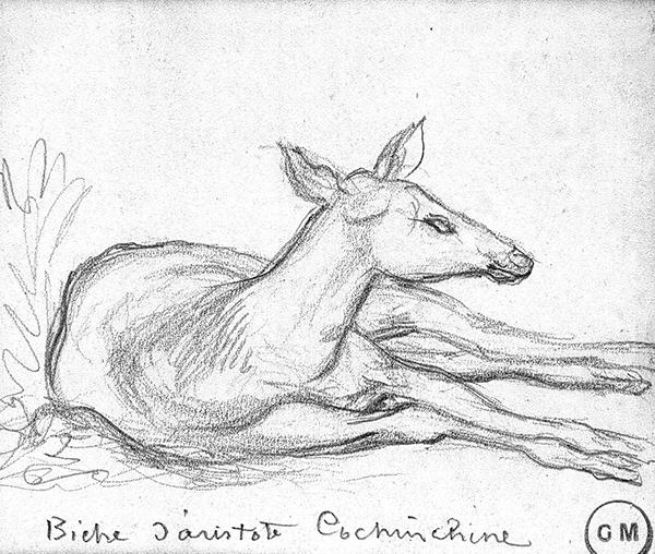 Cliquez pour fermer la fen&ecirc;tre