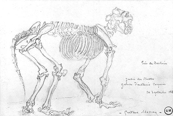 Cliquez pour fermer la fen&ecirc;tre