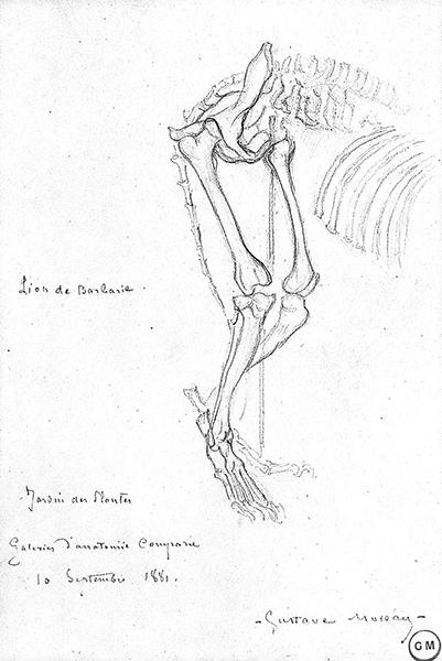 Cliquez pour fermer la fen&ecirc;tre