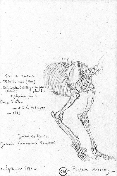 Cliquez pour fermer la fen&ecirc;tre