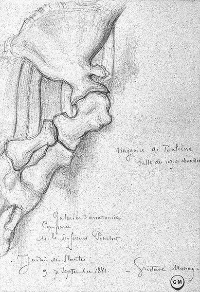 Cliquez pour fermer la fen&ecirc;tre