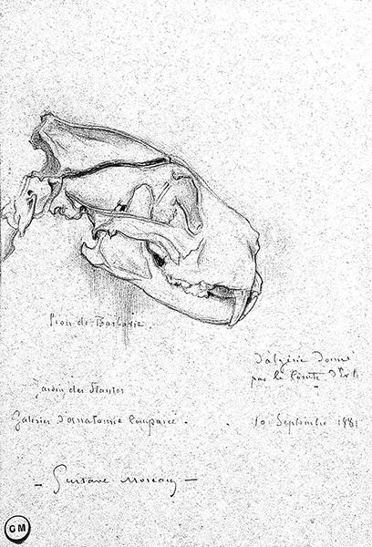 Cliquez pour fermer la fen&ecirc;tre