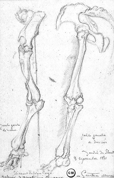 Cliquez pour fermer la fen&ecirc;tre