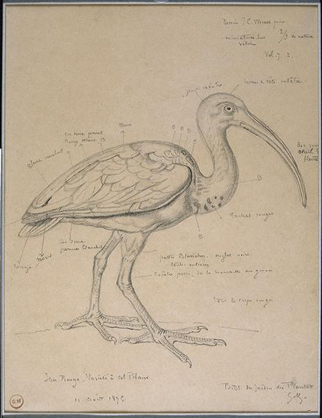 Cliquez pour fermer la fen&ecirc;tre