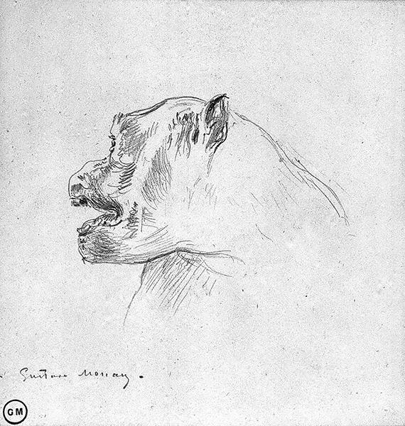 Cliquez pour fermer la fen&ecirc;tre