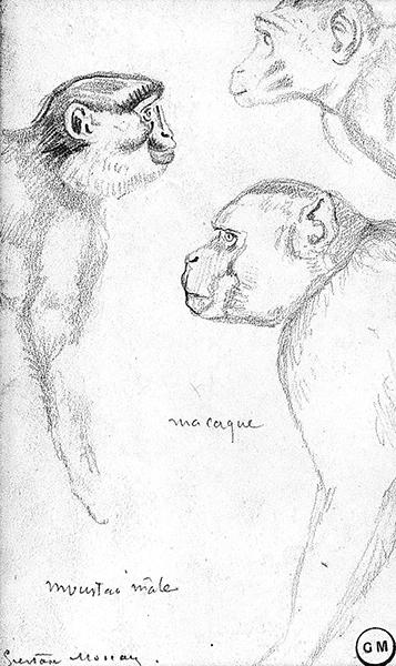 Cliquez pour fermer la fen&ecirc;tre