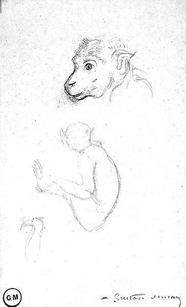 Cliquez pour fermer la fen&ecirc;tre