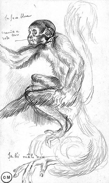 Cliquez pour fermer la fen&ecirc;tre