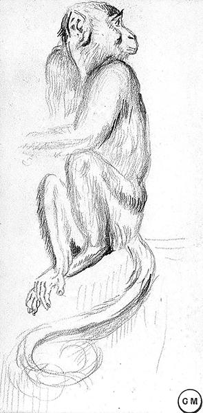 Cliquez pour fermer la fen&ecirc;tre