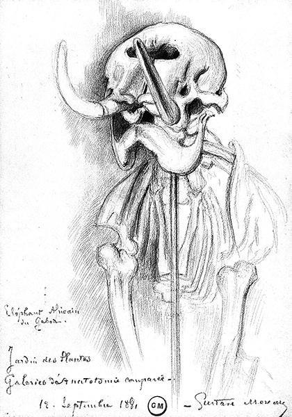 Cliquez pour fermer la fen&ecirc;tre