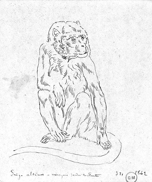 Cliquez pour fermer la fen&ecirc;tre