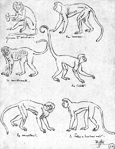 Cliquez pour fermer la fen&ecirc;tre
