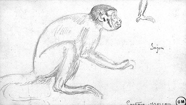 Cliquez pour fermer la fen&ecirc;tre