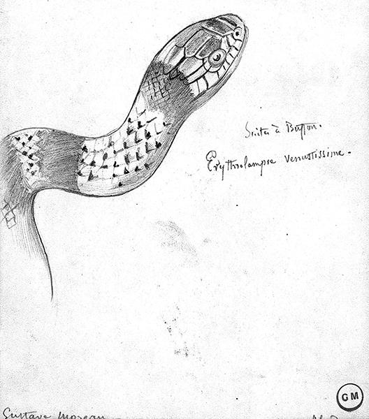 Cliquez pour fermer la fen&ecirc;tre