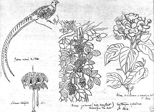 Cliquez pour fermer la fen&ecirc;tre