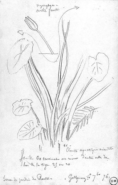 Cliquez pour fermer la fen&ecirc;tre