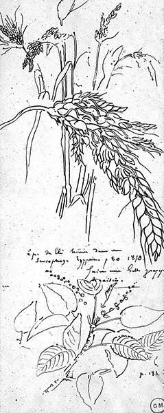 Cliquez pour fermer la fen&ecirc;tre