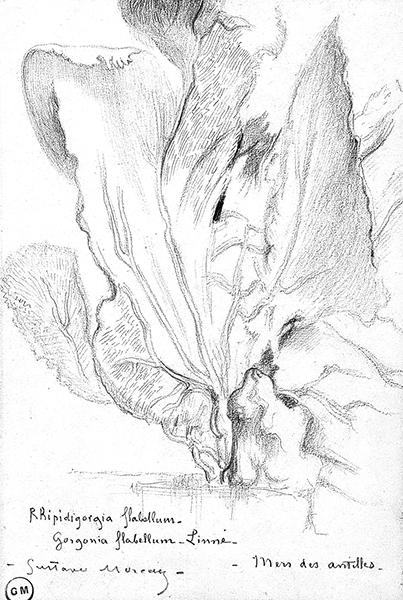 Cliquez pour fermer la fen&ecirc;tre