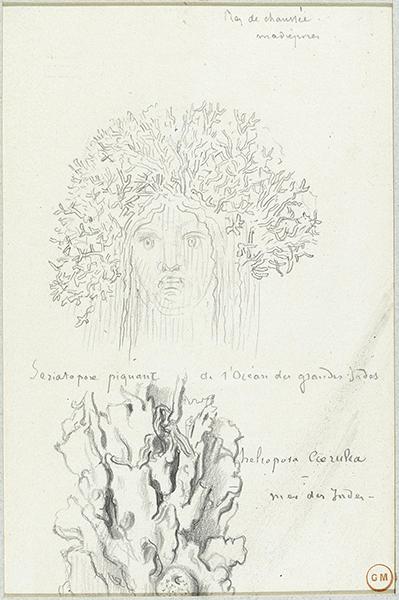 Cliquez pour fermer la fen&ecirc;tre