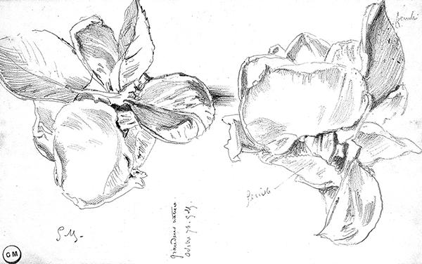 Cliquez pour fermer la fen&ecirc;tre