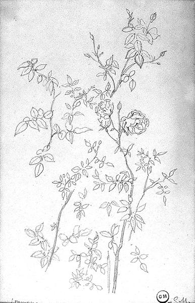 Cliquez pour fermer la fen&ecirc;tre