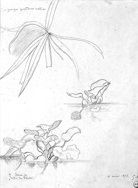 Cliquez pour fermer la fen&ecirc;tre