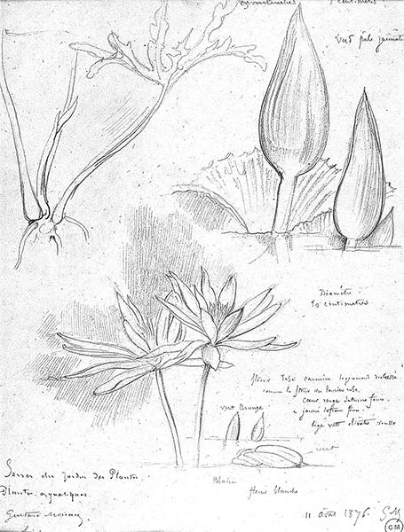 Cliquez pour fermer la fen&ecirc;tre