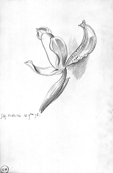 Cliquez pour fermer la fen&ecirc;tre