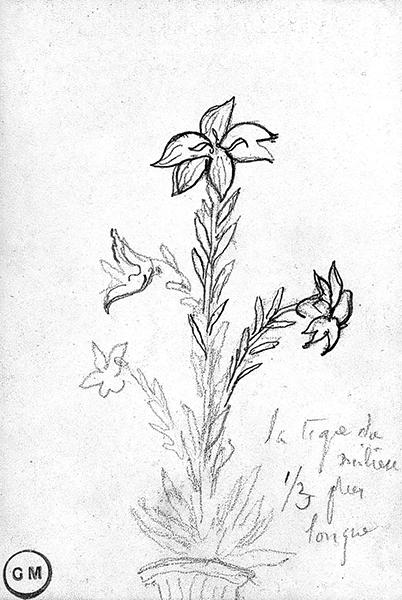 Cliquez pour fermer la fen&ecirc;tre