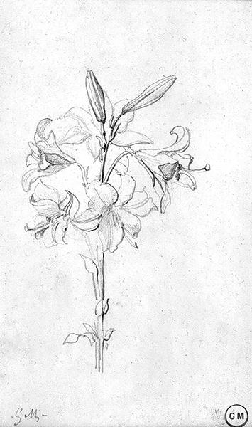 Cliquez pour fermer la fen&ecirc;tre