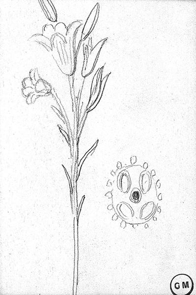 Cliquez pour fermer la fen&ecirc;tre