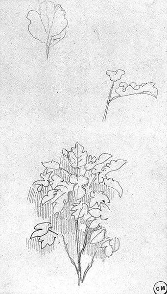 Cliquez pour fermer la fen&ecirc;tre