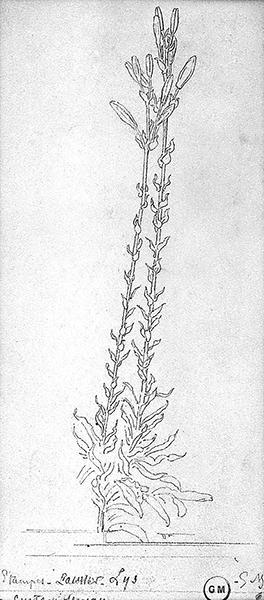 Cliquez pour fermer la fen&ecirc;tre