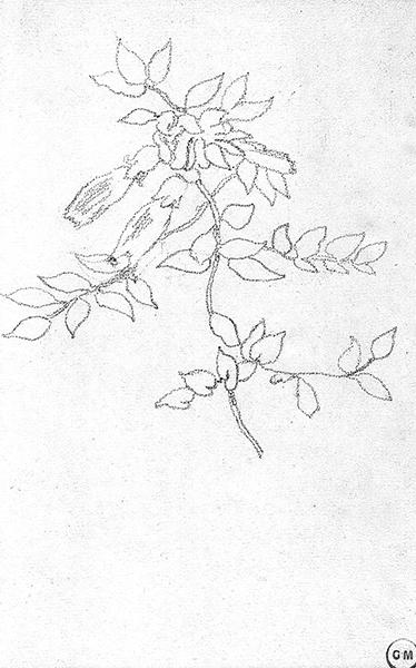 Cliquez pour fermer la fen&ecirc;tre