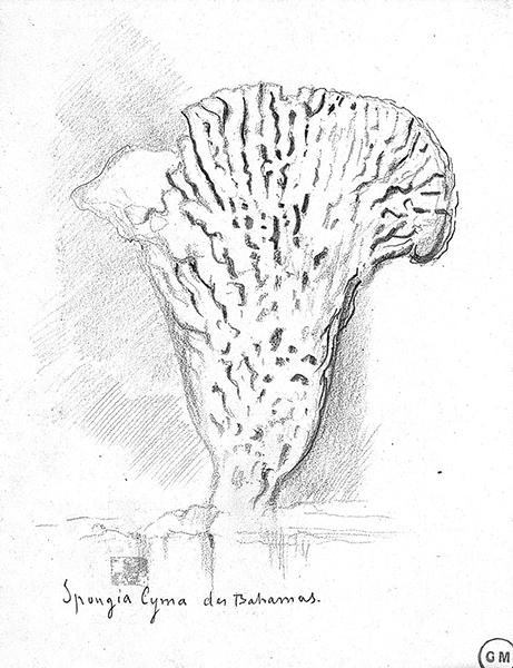 Cliquez pour fermer la fen&ecirc;tre