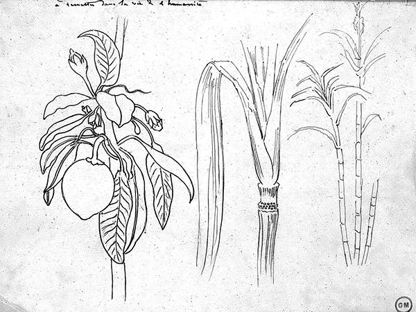 Cliquez pour fermer la fen&ecirc;tre