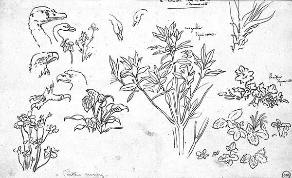 Cliquez pour fermer la fen&ecirc;tre