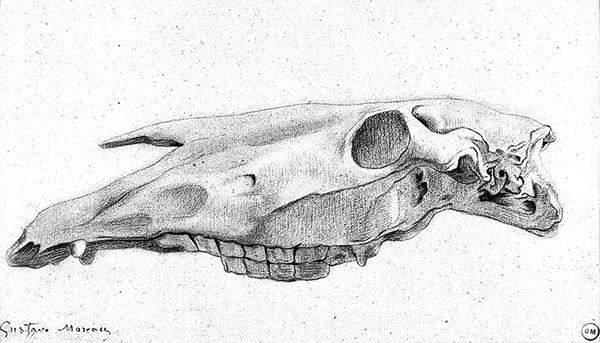 Cliquez pour fermer la fen&ecirc;tre