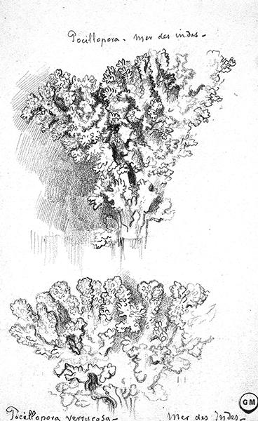 Cliquez pour fermer la fen&ecirc;tre