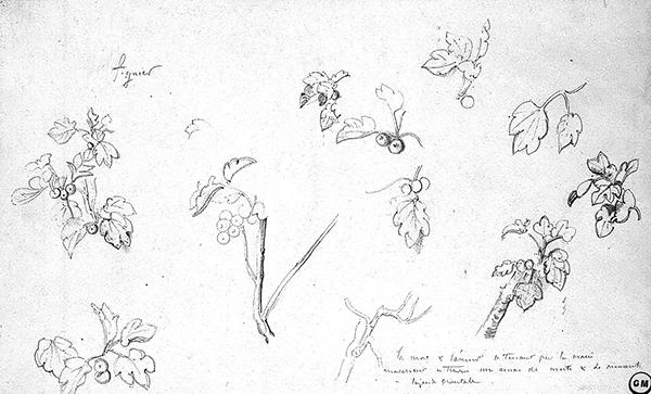 Cliquez pour fermer la fen&ecirc;tre